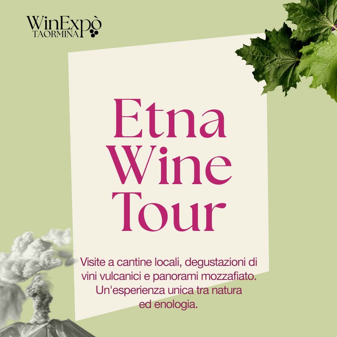 Etna Wine Tour